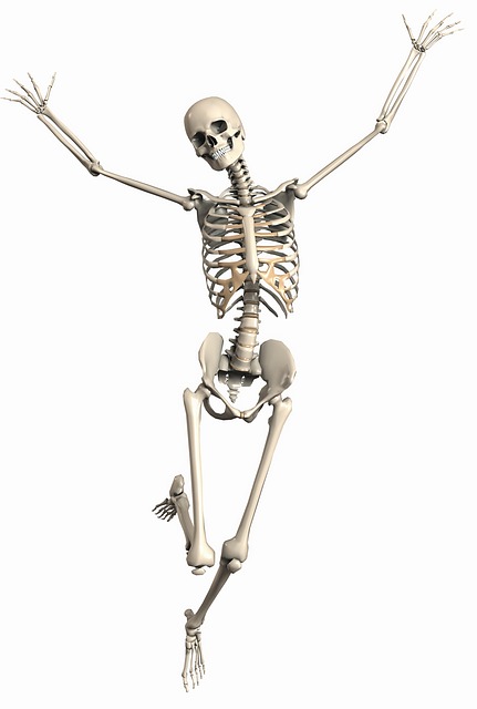 Dancing bones skeleton